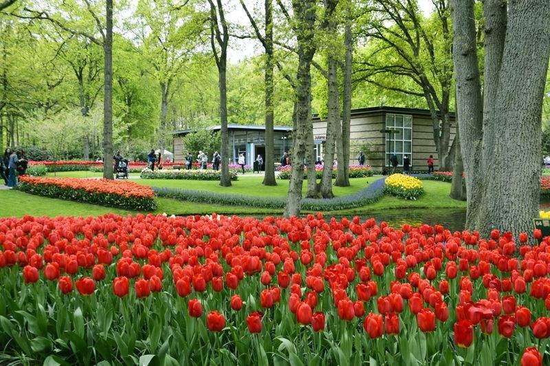 Evergreen Harbour Garden Co. 12