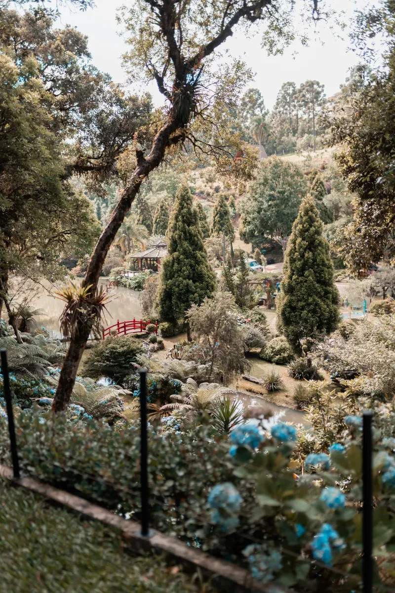 Evergreen Harbour Garden Co.